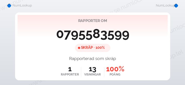 Nummerinformation för 0795583599