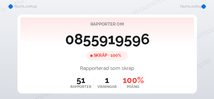 Nummerinformation för 0855919596