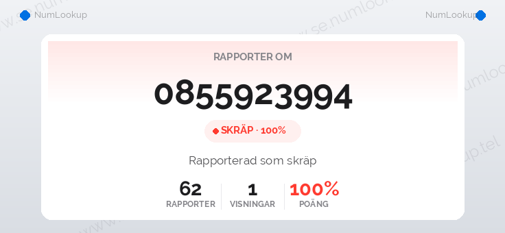 Nummerinformation för 0855923994