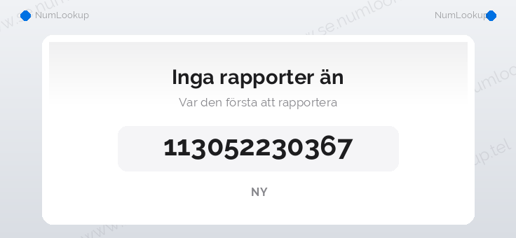 Nummerinformation för 113052230367