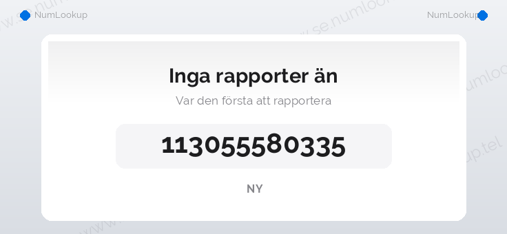 Nummerinformation för 113055580335