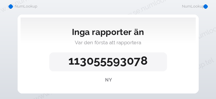 Nummerinformation för 113055593078