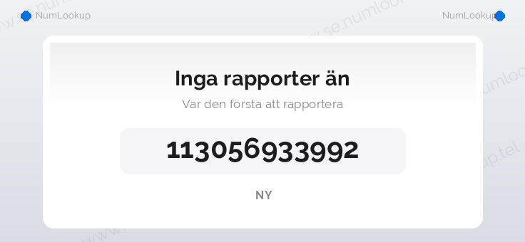 Nummerinformation för 113056933992