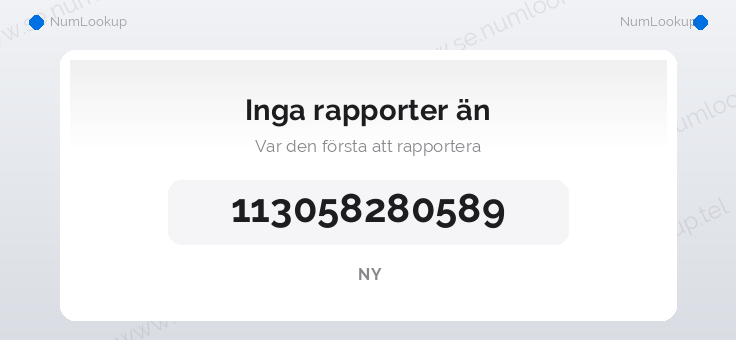 Nummerinformation för 113058280589