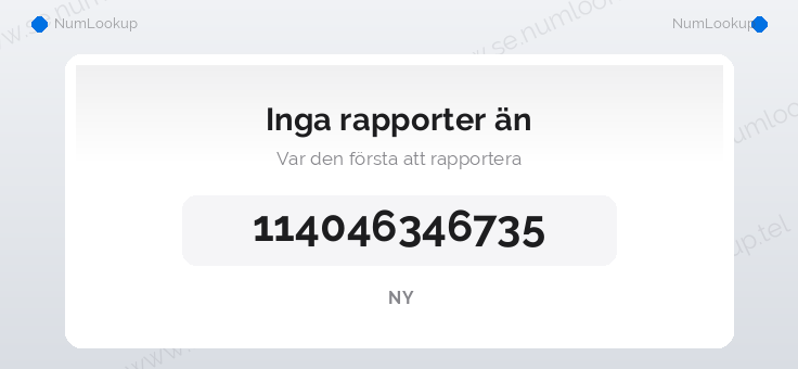 Nummerinformation för 114046346735