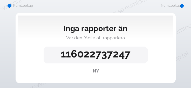 Nummerinformation för 116022737247