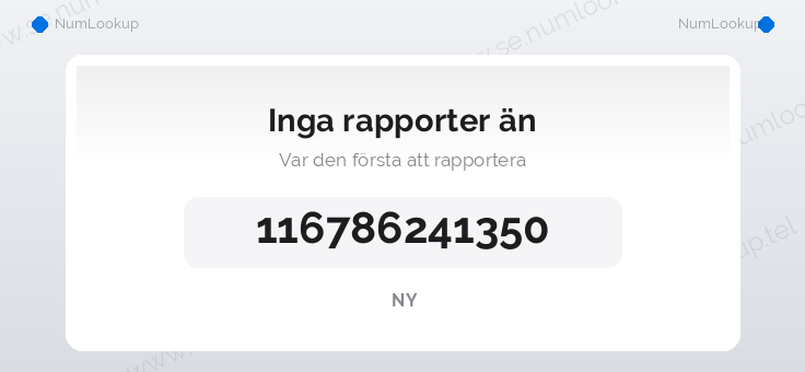 Nummerinformation för 116786241350