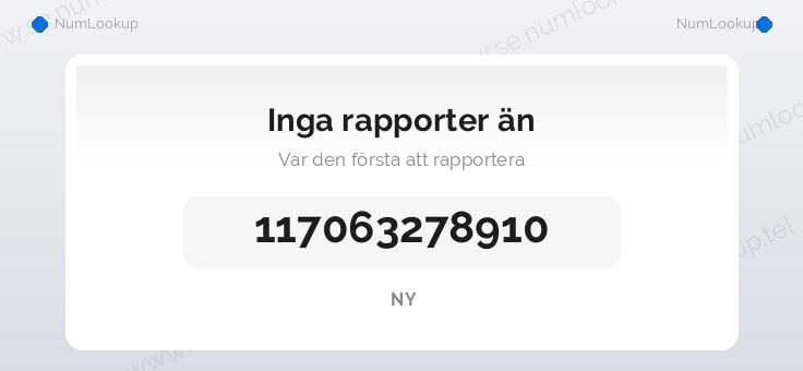 Nummerinformation för 117063278910