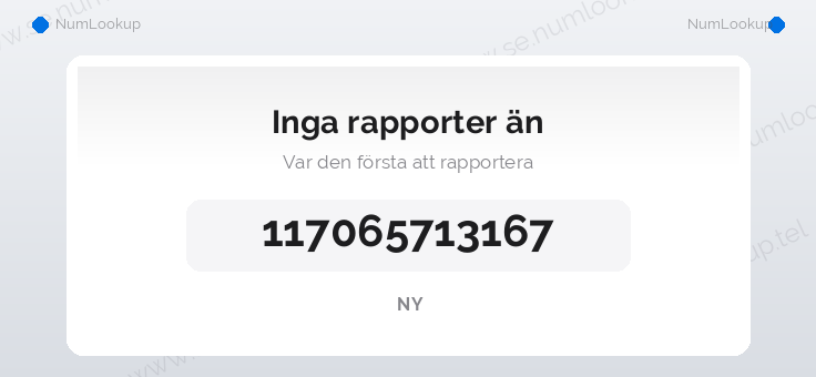 Nummerinformation för 117065713167
