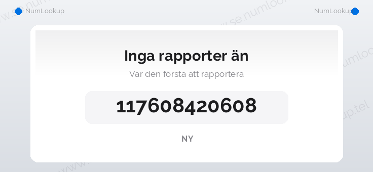 Nummerinformation för 117608420608