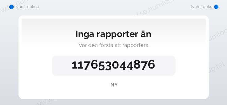 Nummerinformation för 117653044876