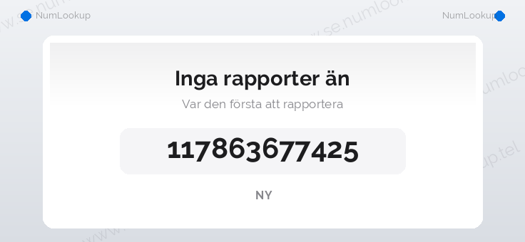 Nummerinformation för 117863677425