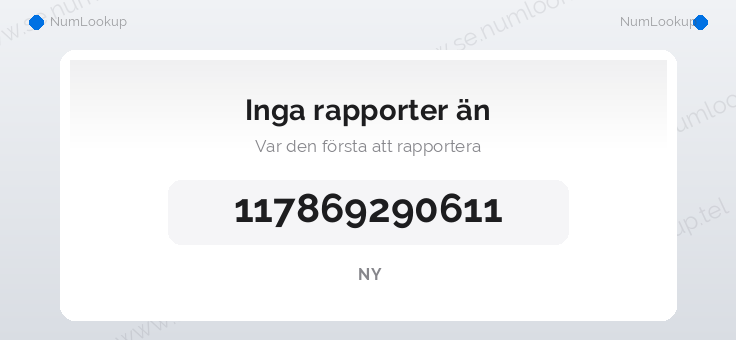 Nummerinformation för 117869290611