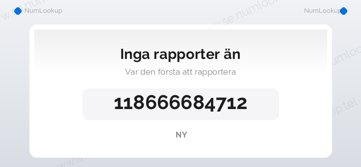 Nummerinformation för 118666684712