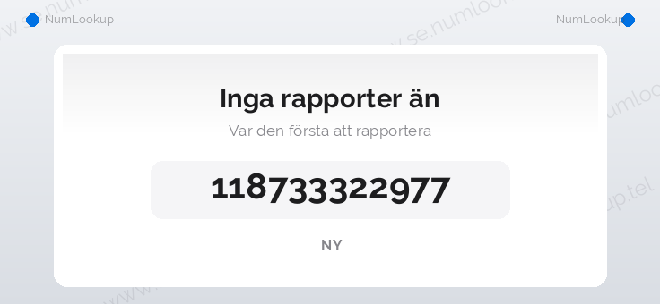 Nummerinformation för 118733322977