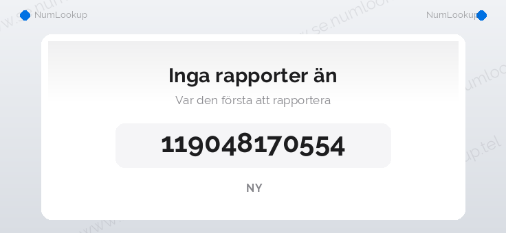 Nummerinformation för 119048170554