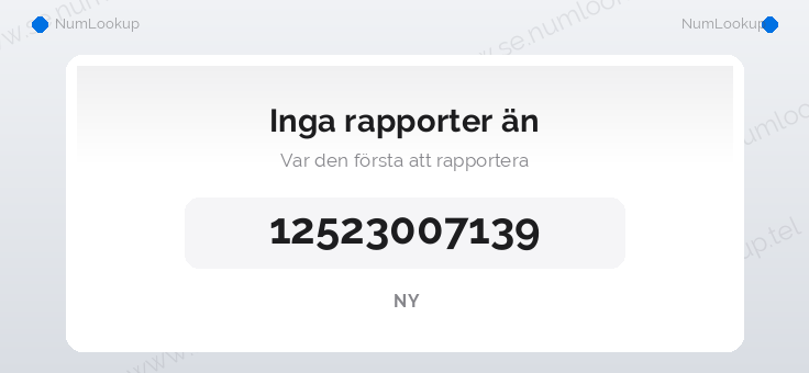 Nummerinformation för 12523007139
