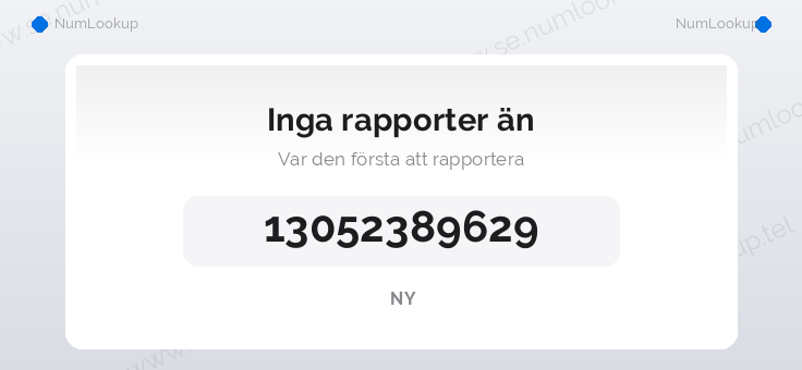 Nummerinformation för 13052389629
