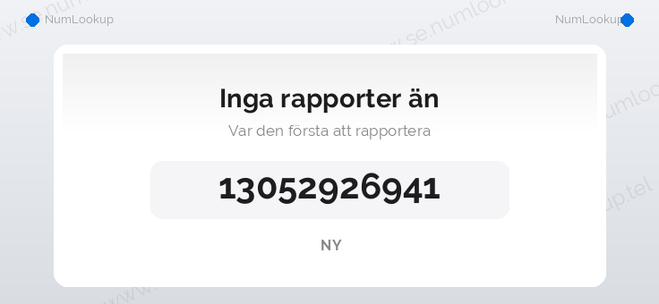 Nummerinformation för 13052926941