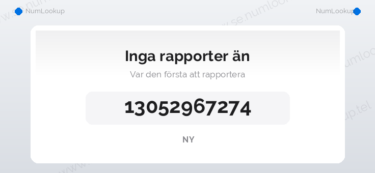 Nummerinformation för 13052967274