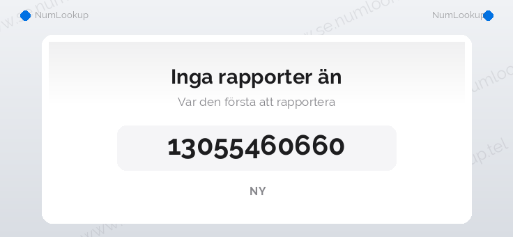Nummerinformation för 13055460660