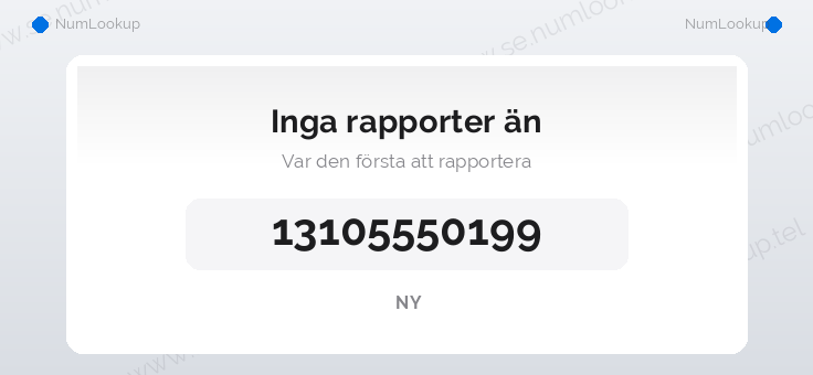 Nummerinformation för 13105550199