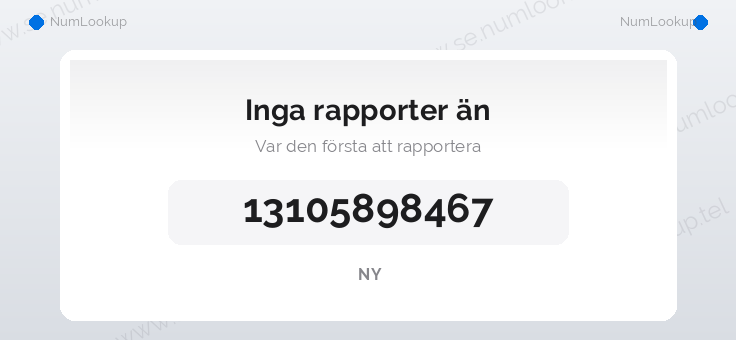 Nummerinformation för 13105898467