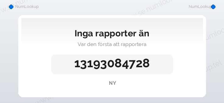 Nummerinformation för 13193084728