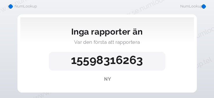Nummerinformation för 15598316263