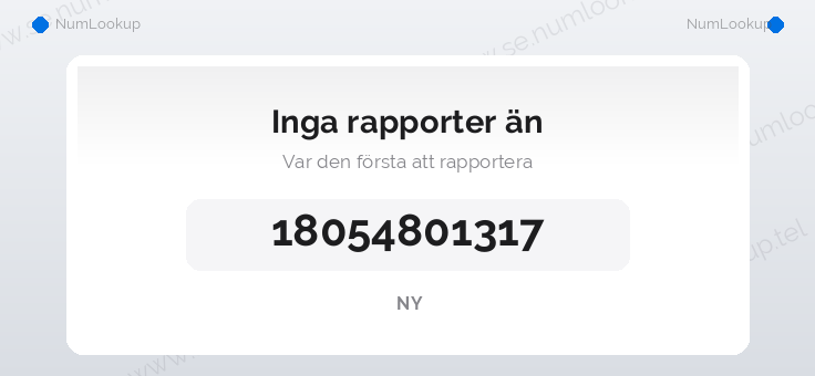 Nummerinformation för 18054801317