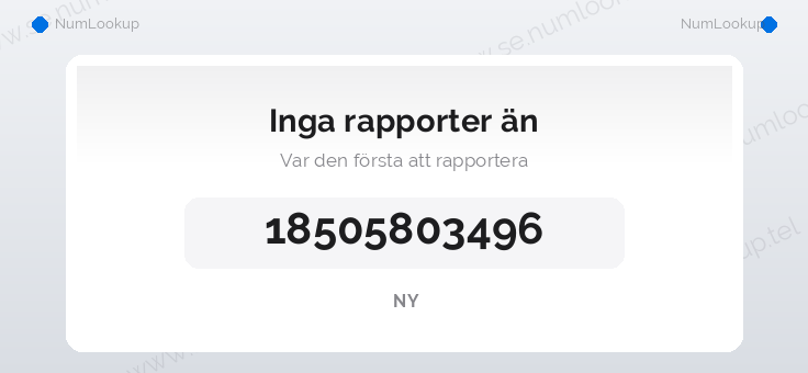 Nummerinformation för 18505803496