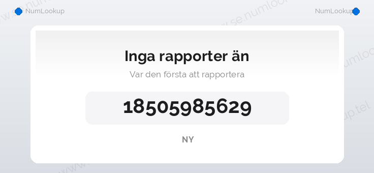 Nummerinformation för 18505985629