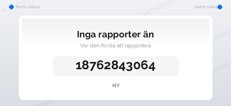 Nummerinformation för 18762843064