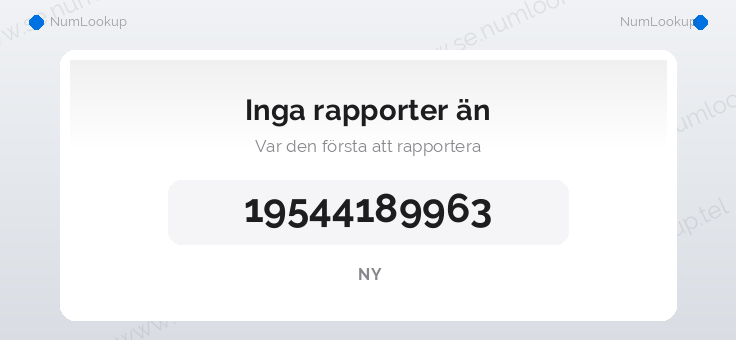 Nummerinformation för 19544189963