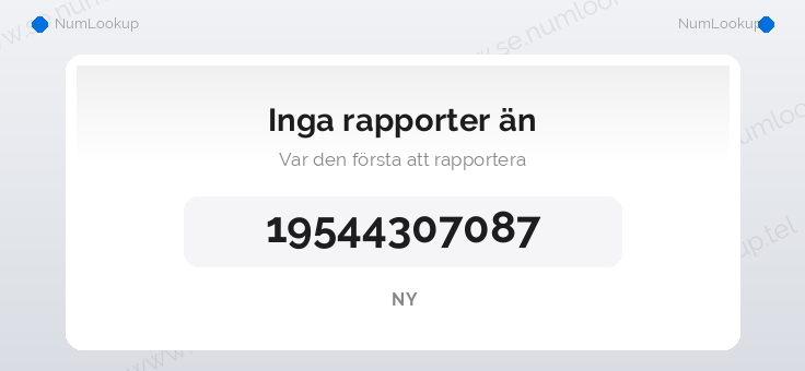 Nummerinformation för 19544307087