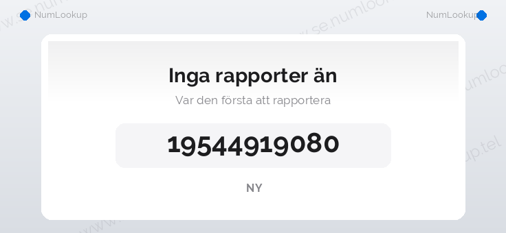 Nummerinformation för 19544919080