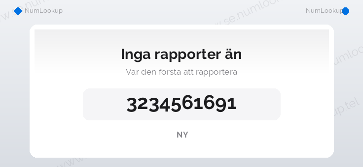 Nummerinformation för 3234561691