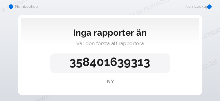 Nummerinformation för 358401639313