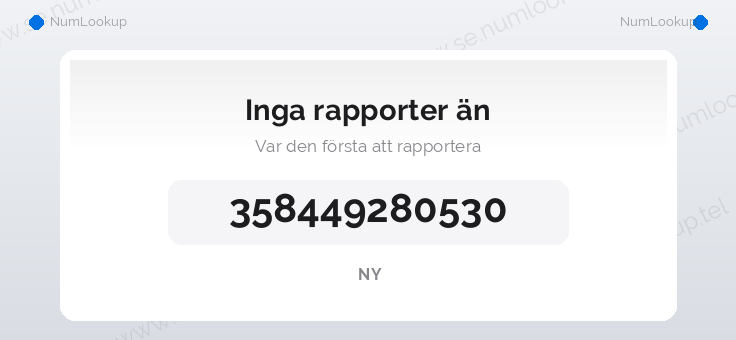 Nummerinformation för 358449280530