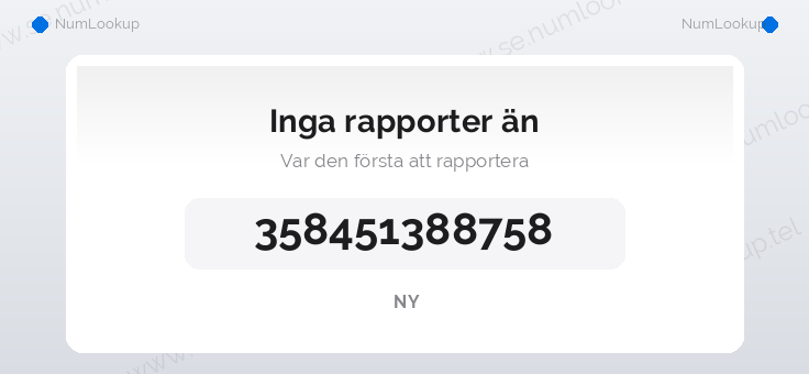 Nummerinformation för 358451388758