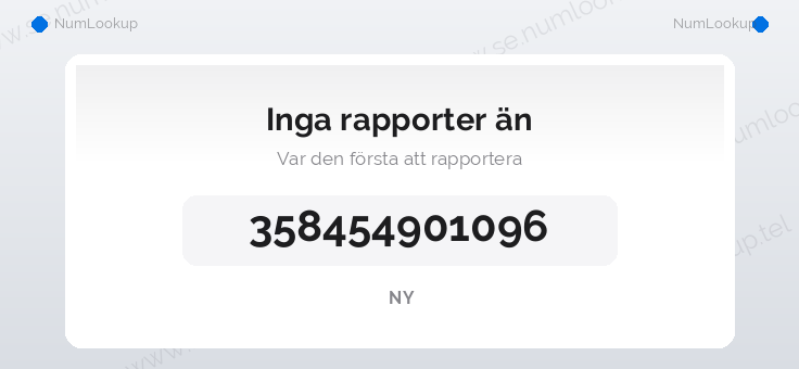 Nummerinformation för 358454901096