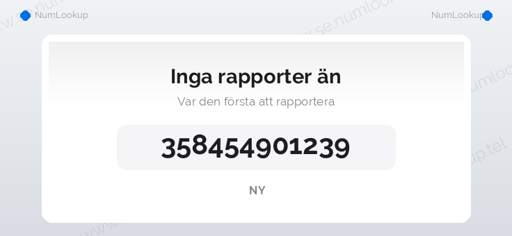 Nummerinformation för 358454901239
