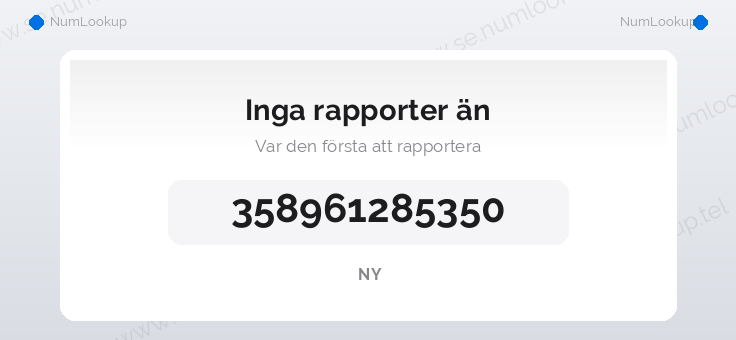 Nummerinformation för 358961285350