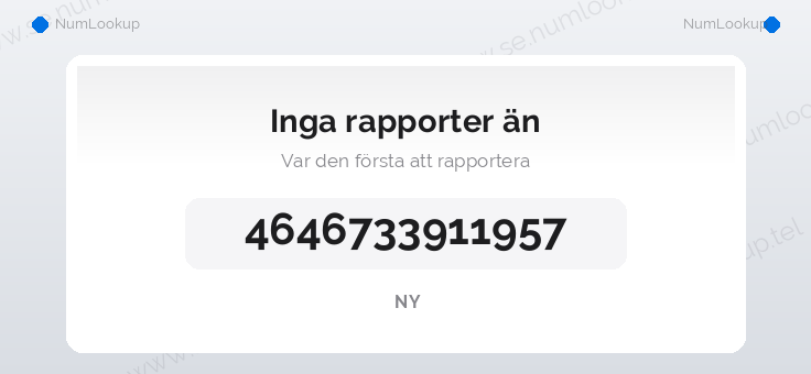Nummerinformation för +4646733911957