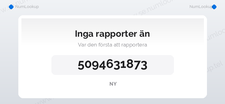 Nummerinformation för 5094631873