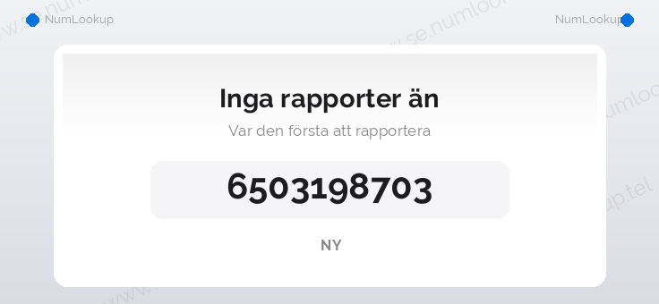 Nummerinformation för 6503198703